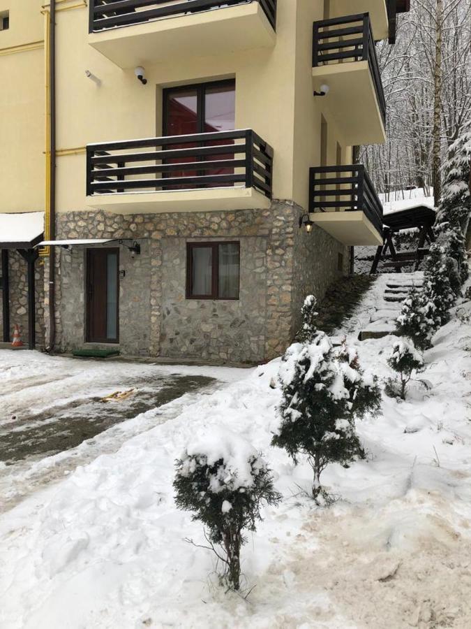 Апартаменты Apartament Nicolle Пояна-Брашов Экстерьер фото